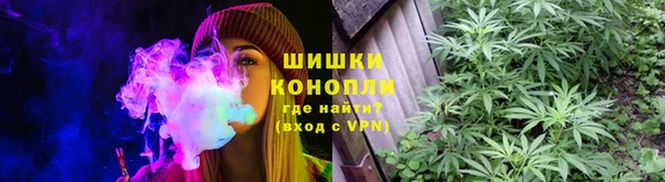дмт Балабаново