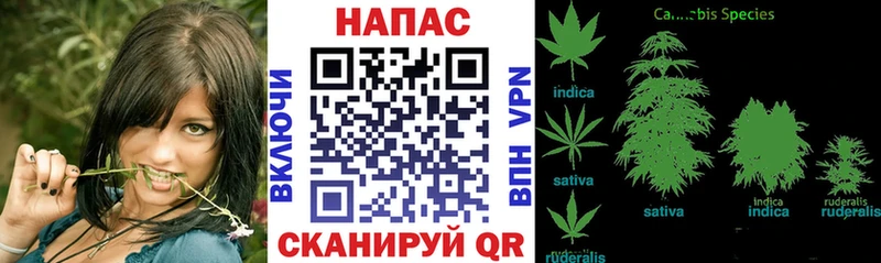 Шишки марихуана LSD WEED  где купить наркоту  Венёв 